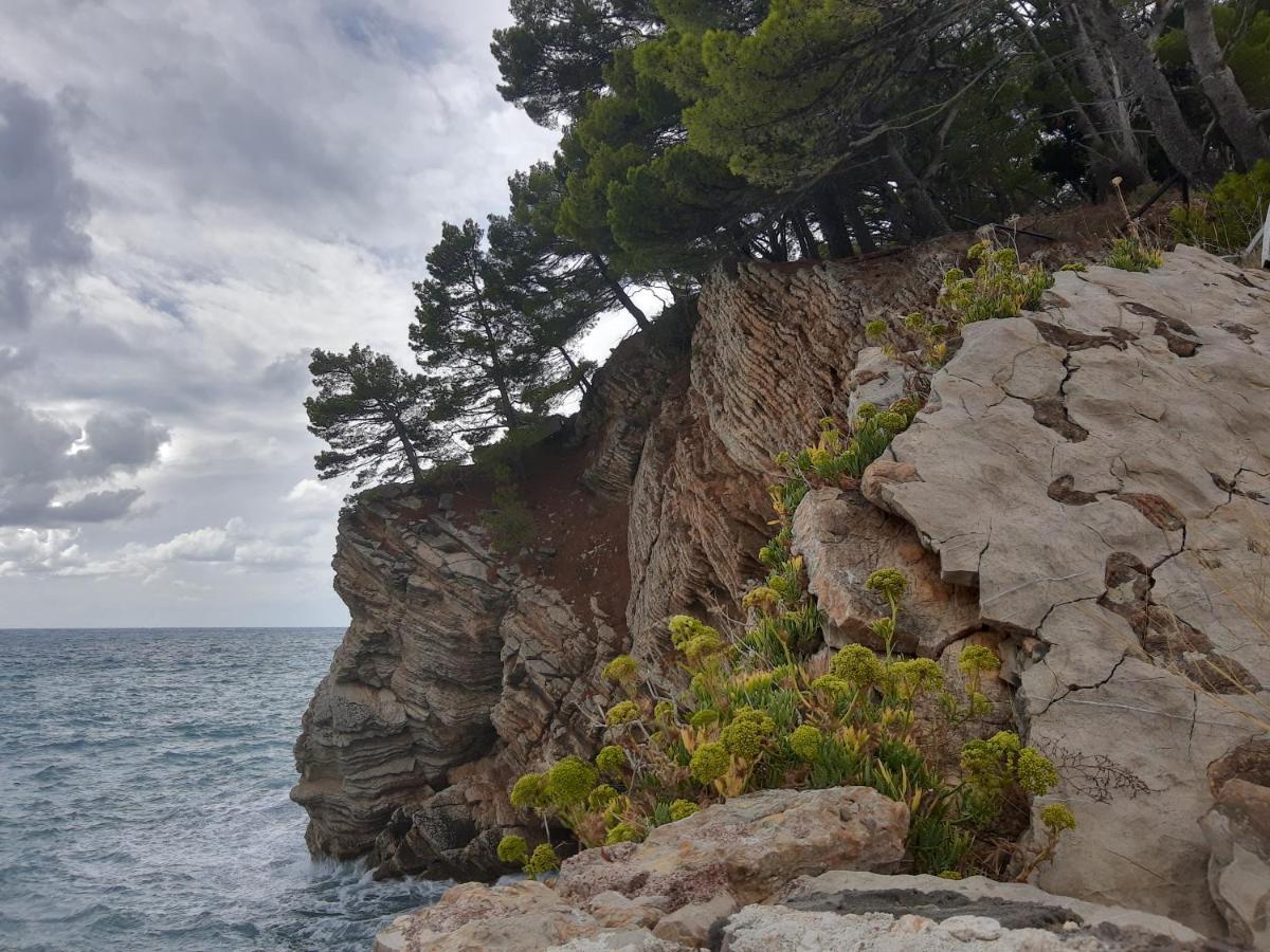 Sea-Side Old Stone Villa With A Private Garden Budva Exterior foto
